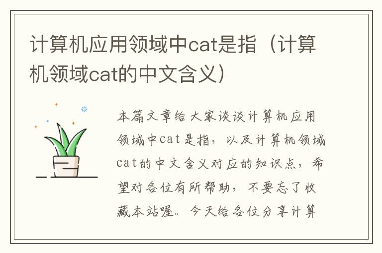 计算机应用领域中cat是指（计算机领域cat的中文含义）