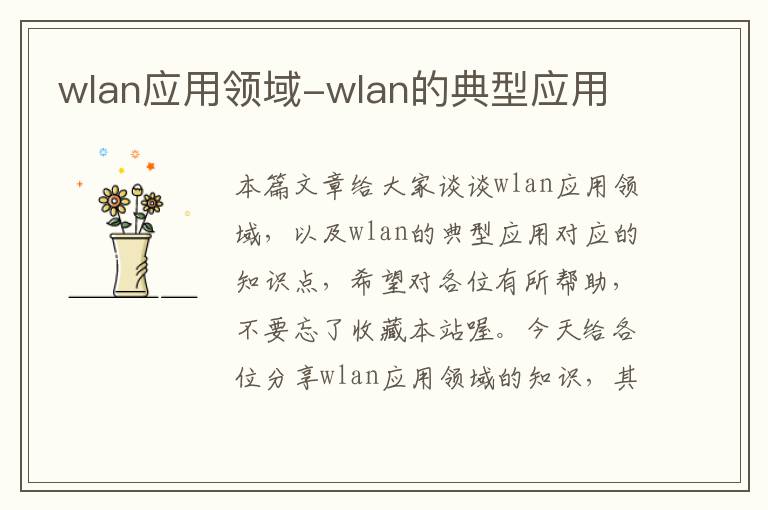 wlan应用领域-wlan的典型应用