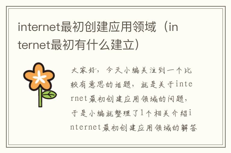 internet最初创建应用领域（internet最初有什么建立）