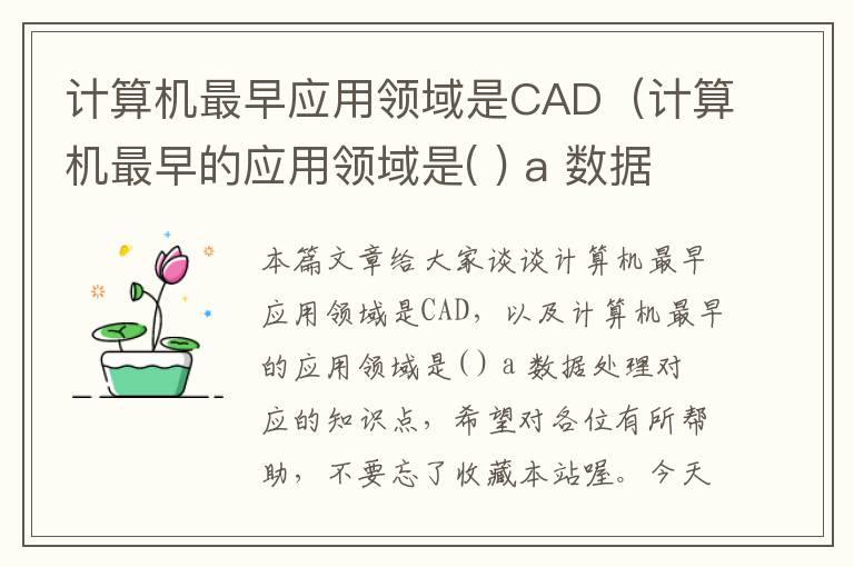 计算机最早应用领域是CAD（计算机最早的应用领域是( ) a 数据处理）