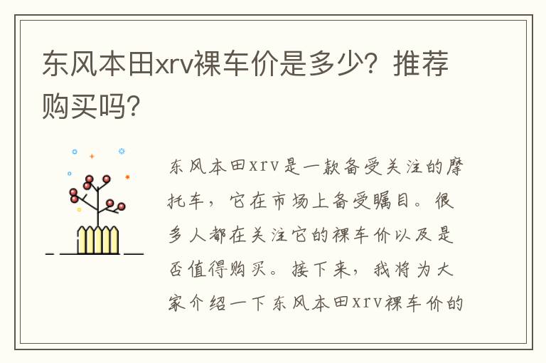 美国街头裸眼3d天空中，如何评价《阿丽塔:战斗天使》?