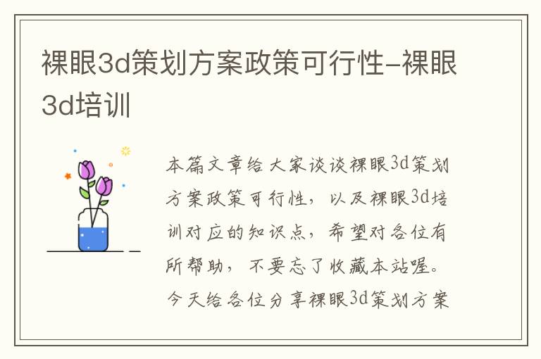 裸眼3d策划方案政策可行性-裸眼3d培训