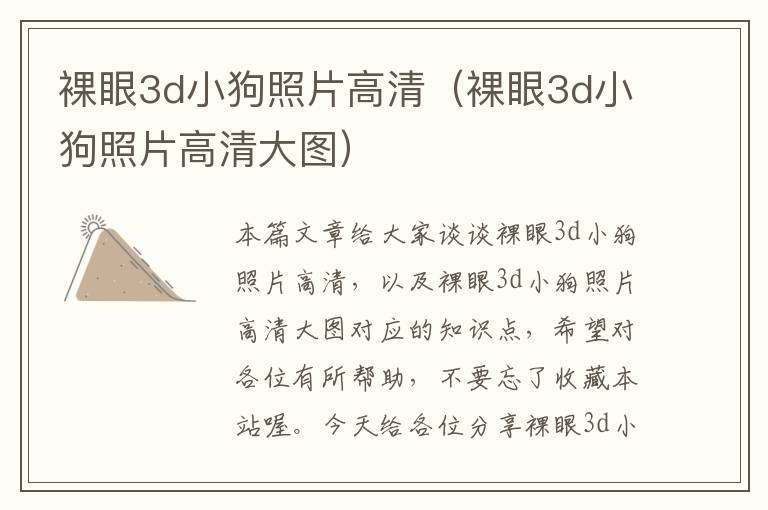 裸眼3d小狗照片高清（裸眼3d小狗照片高清大图）